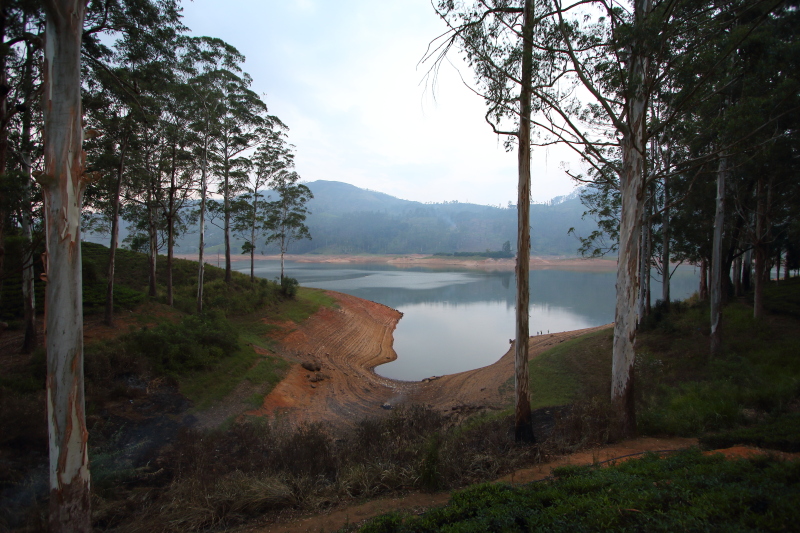J19_9325 balcony view, Dickoya.JPG